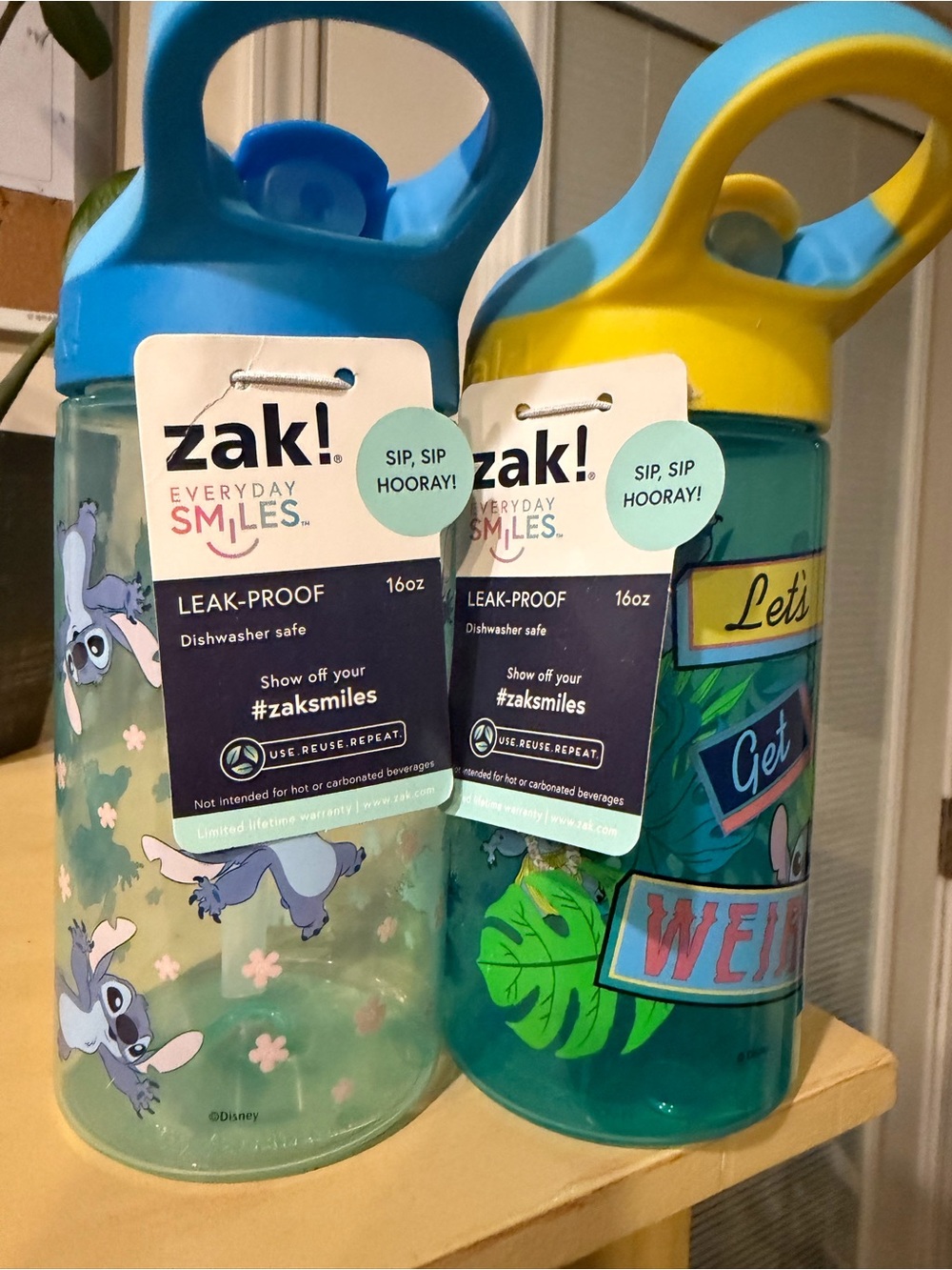 zak! Everyday Smiles 16oz Leak-Proof Water Bottle - Blue/Turquoise